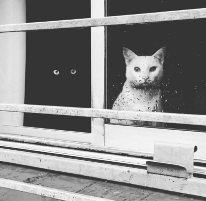 Crno-bijela fotografija